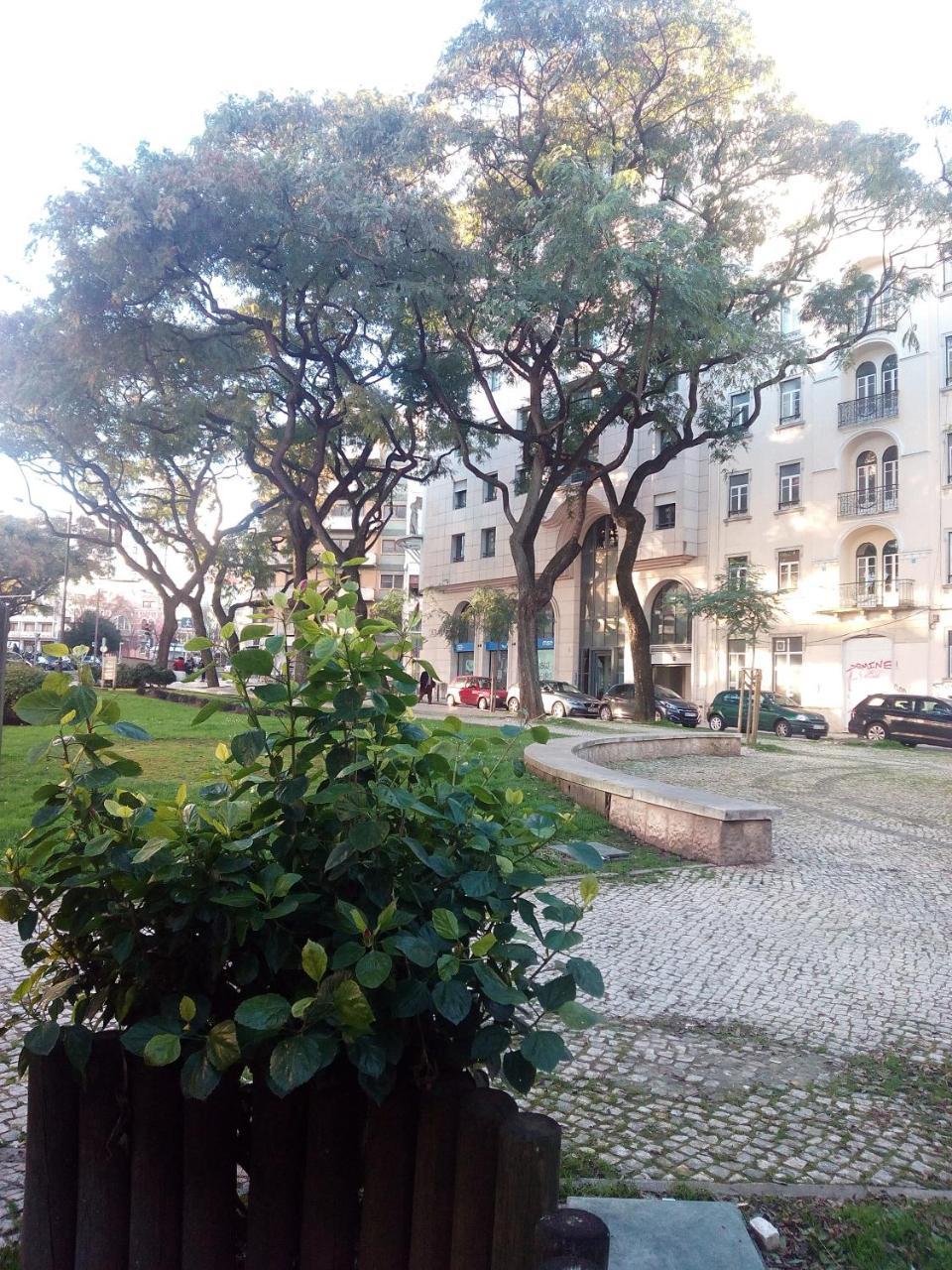 Apolo Bed & Breakfast Lisboa Ngoại thất bức ảnh